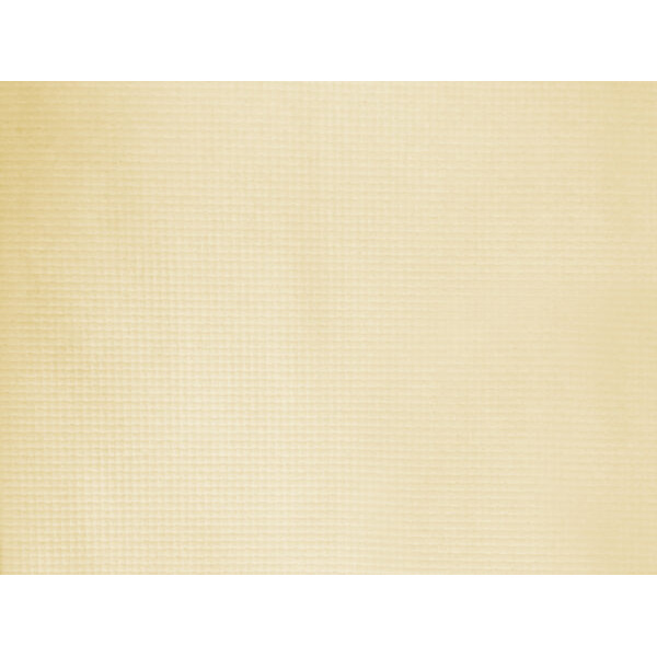 ΣΟΥΠΛΑ ΧΑΡΤΙΝΟ PLAIN ΚΡΕΜ 30Χ40cm ΠΑΚ.250ΤΜΧ